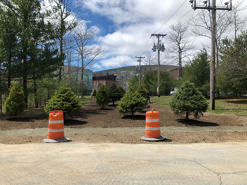 Landscape Installation